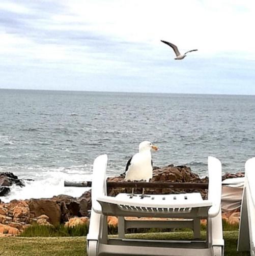 Beacon Island Resort Plettenberg Bay Exterior photo
